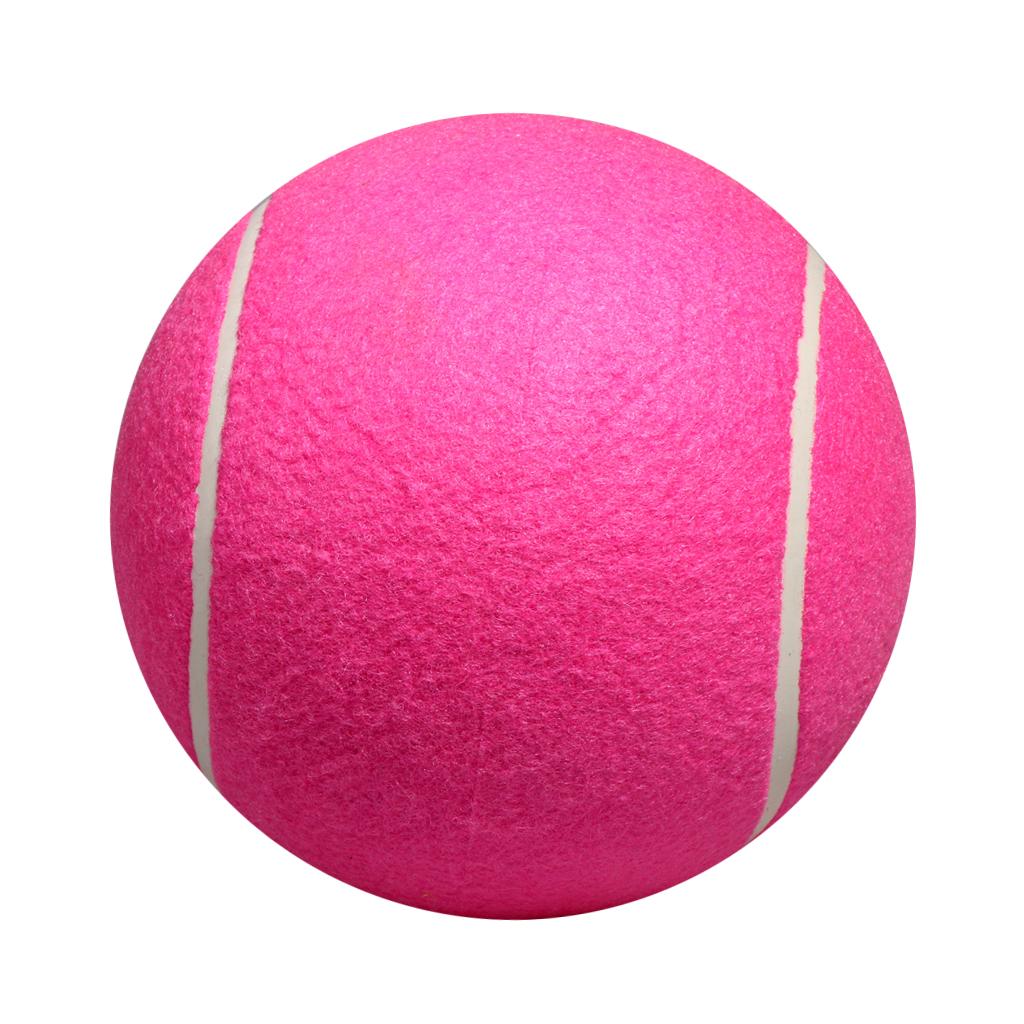 Kids Toys Exhibition - Dog Tennis Ball Toy Inflatable Pink